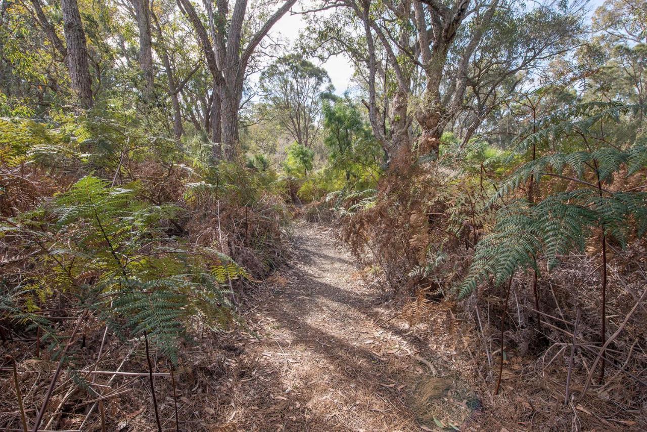 Yelverton Brook Conservation Sanctuary Metricup Ngoại thất bức ảnh