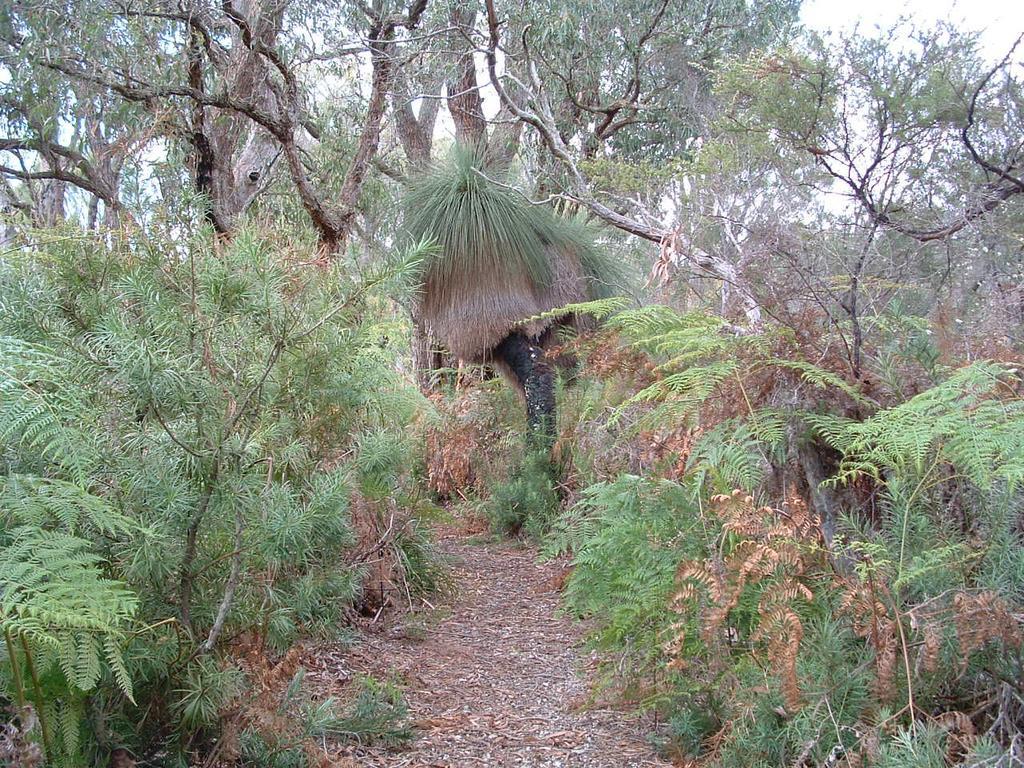 Yelverton Brook Conservation Sanctuary Metricup Ngoại thất bức ảnh